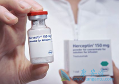 ����͡��HER2���ٰ��������Ƶ��ذ�ҩ��֮һ