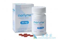 ������������HER2�������ٰ�����Ч����