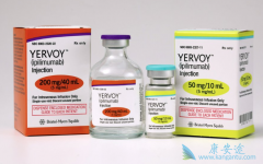 CTLA4������PD-1���Ƽ���Ŀǰ�����İ�֢�����Ʒ�