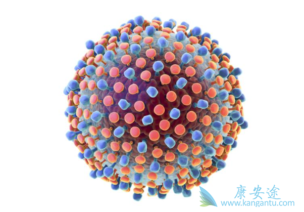 丙肝窗口期 丙肝窗口期