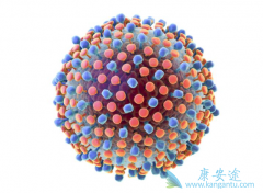 �����ܳ����κ������������ڱ��β�����