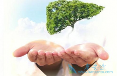 �����������𣿱���������������Щԭ��