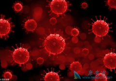 ����Τ��/���������ô������������Ӧ�÷�Χ