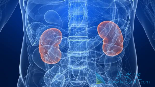 肾上腺肿瘤 肾上腺肿瘤