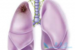 �����鵥�����й���Сϸ���ΰ����ߵ���Ч�Եõ�֤ʵ