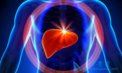 ����ʲô֢״˵�����ǵı��β������ڶ񻯣�