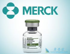 Keytruda��Opdivo�������Ʒ����Ƹΰ�����Ч����
