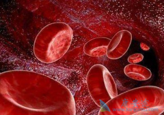 �����Ƕ�ͯ���԰�Ѫ�������Ƶ���Ҫ����