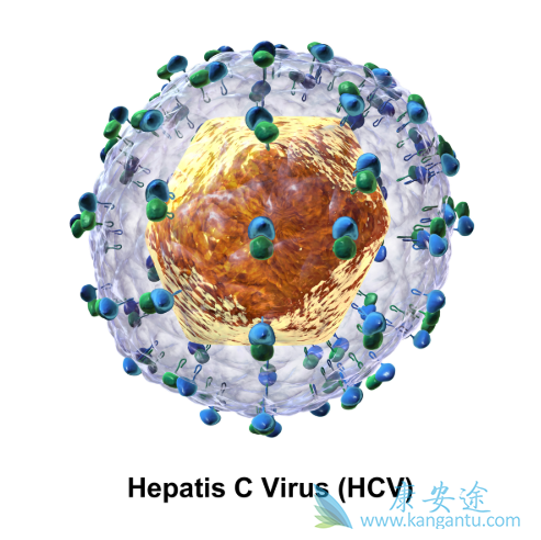 丙肝传播途径 丙肝传播途径
