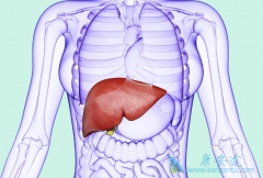 Ϊʲô���͸������ƿ̲��ݻ������Ʋ���ʱ����ЩΣ����