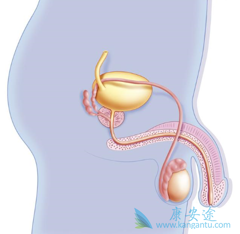 前列腺癌 前列腺癌
