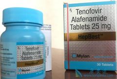 ��ŵ��Τ����(TAF)�����Ҹ�ͬ�����ܻ�������������