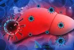 ��鷢���Լ����ο���������Ҫ����������������