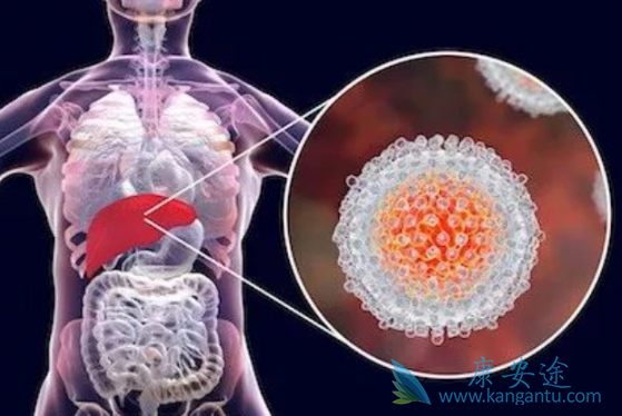 丙肝病毒抗体 丙肝病毒抗体