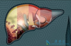 �ճ�����������λ��߾۲ͻᵼ�±��δ�Ⱦ��