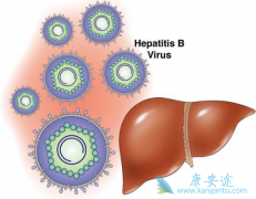 �����Ҹθ�Ӳ����ô���ƣ��ܷ���ת��