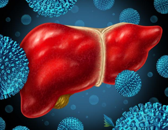 丙肝病毒 丙肝病毒