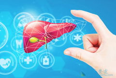 ���ο��������𣿱�������ı��λ��Ḵ����