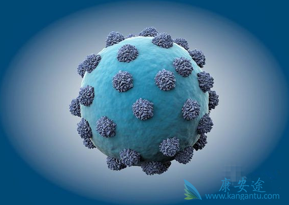 丙肝病毒 丙肝病毒