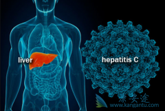 ���β�����Ⱦ�������������ЩƤ��������