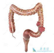 �������ڽ᳦�����Ƶķ�������Щ��