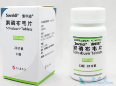 ���ǲ�Τ��������ƷΪ�����ܱ������Ʒ�������Щ��