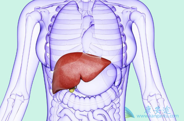 什么是丙肝 什么是丙肝