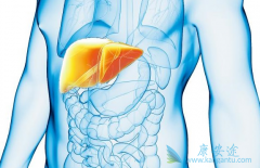 �Ҹδ��������κ����Ҹο������ڼ�����Щ���ɣ�