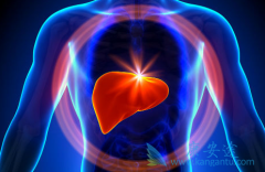 ����ĸβ�ҩ�����������Ա��͸�����