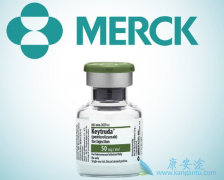 PD-L1�������50�ķ�Сϸ���ΰ�����ʹ��Keytruda����Ч������