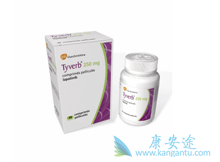 抗HER2药物 抗HER2药物