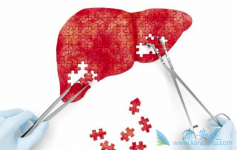 �Ҹ����������͸��׺��Ŀ���������ʲô��˼��