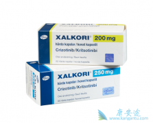 ������������ROS1���ԵĶ�������NSCLC���ߵ�������������