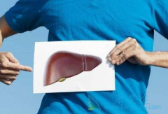 ���������ƺ��𣿲�ͬ�����͵ı��������Ѷ��Ƿ�ͬ��