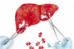 �Ҹ����԰����Ҹα��濹��������ʲô��˼��