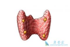 ��״��������ô���ƣ��ͼ�״�ٰ���ʲô��ͬ��