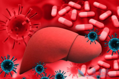 hbv��ʲô��˼��hbv������Ҫ������ƣ�