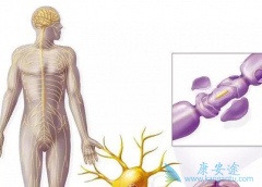 ʲô�ǹ�����ά�������ֹ��˺�Ӧ��������ƣ�