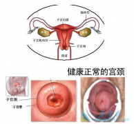 �շ���������������Щ��������֢״������ʲô��