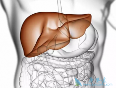 �����Ҹ����԰��е��Ҹκ��Ŀ������Ե�ԭ������Щ��