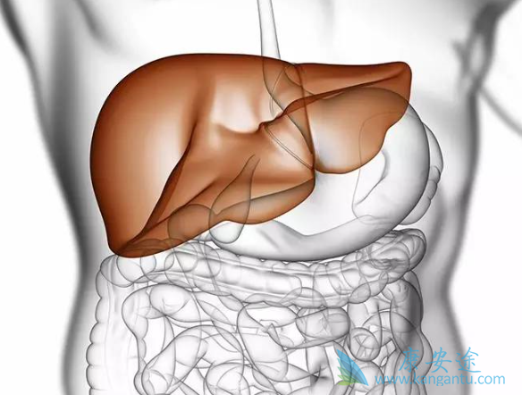 乙肝核心抗体阳性 乙肝核心抗体阳性
