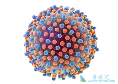 ���������κñ�������ϱ��ο�����ҩ��˭��Ч�����ã�