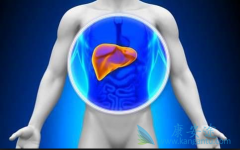 ��ͯ���Ա������κ��𣿲�ͬ���͸��׻������ѡ�����Ʒ�����