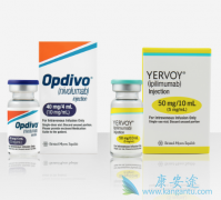 CTLA-4������ƥľ�������������ܰ���������