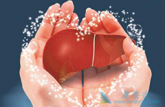 ʲô�Ǳ��δ����ڣ������ڻ��������أ�