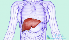 ���ο�������������Щ������ҩ���ã�