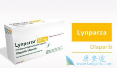 ����������Ϊ�������ѳ��������ṩ������Ч��