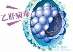 �Ҹβ���Я������Ҫ�����𣿲����ƻ᲻��ת�����ҸΣ�