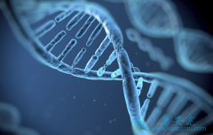 ����α��ο���ʡȥ���λ�������һ���裿