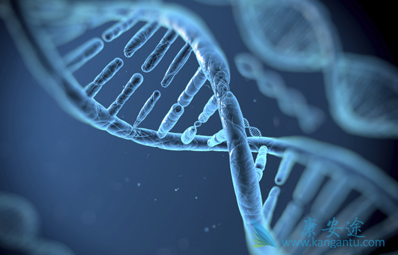 丙肝基因检测 丙肝基因检测